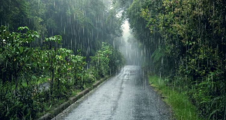 weather, rainy day