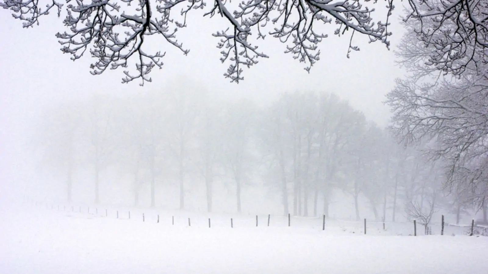 YELLOW ALERT for rain and dense fog in Punjab-Chandigarh, visibility zero, possibility of rain also