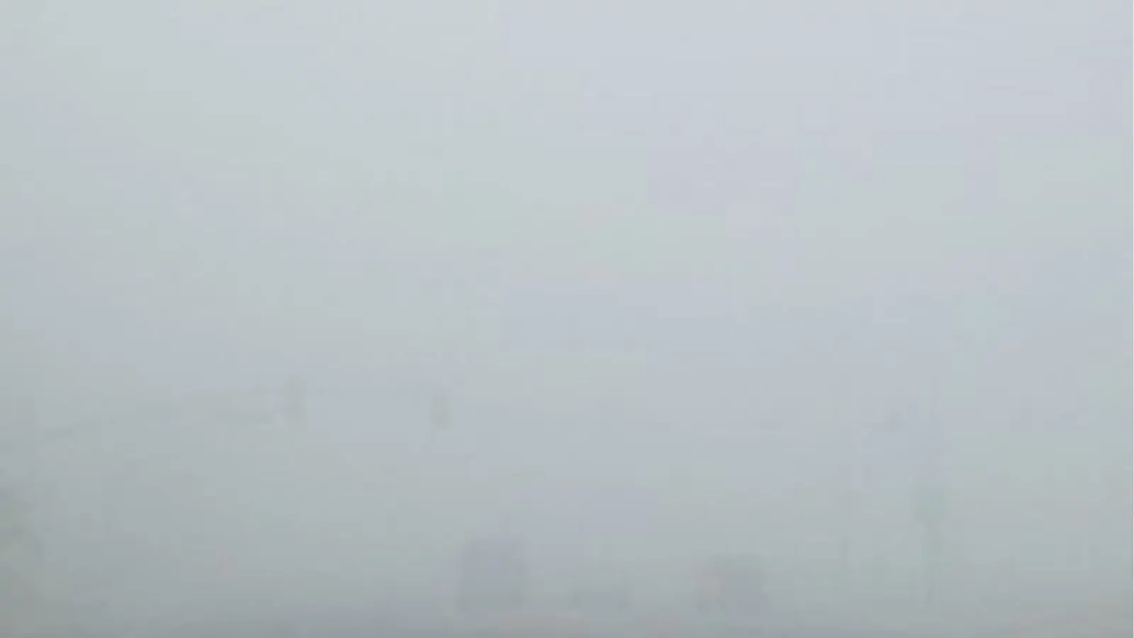 Fog rages in Punjab, COLD WAVE sends shivers down people's spines