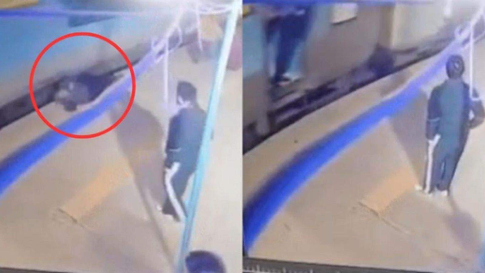 chaos ensued due to the train