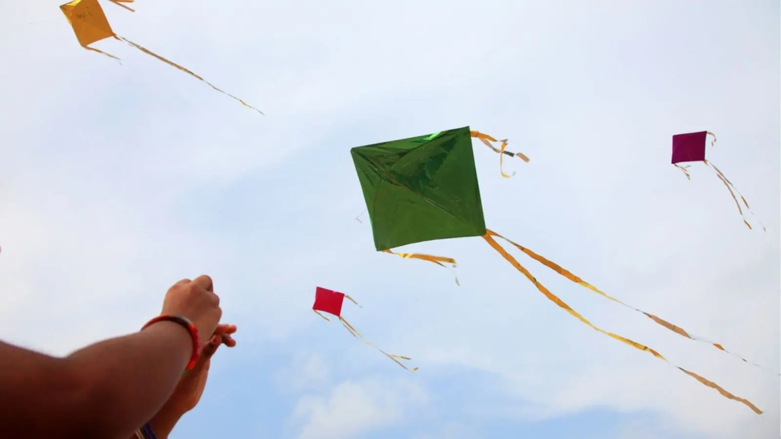 Ludhiana Police Deploy Drones To Crack Down On Deadly Chinese Kite String Before Lohri