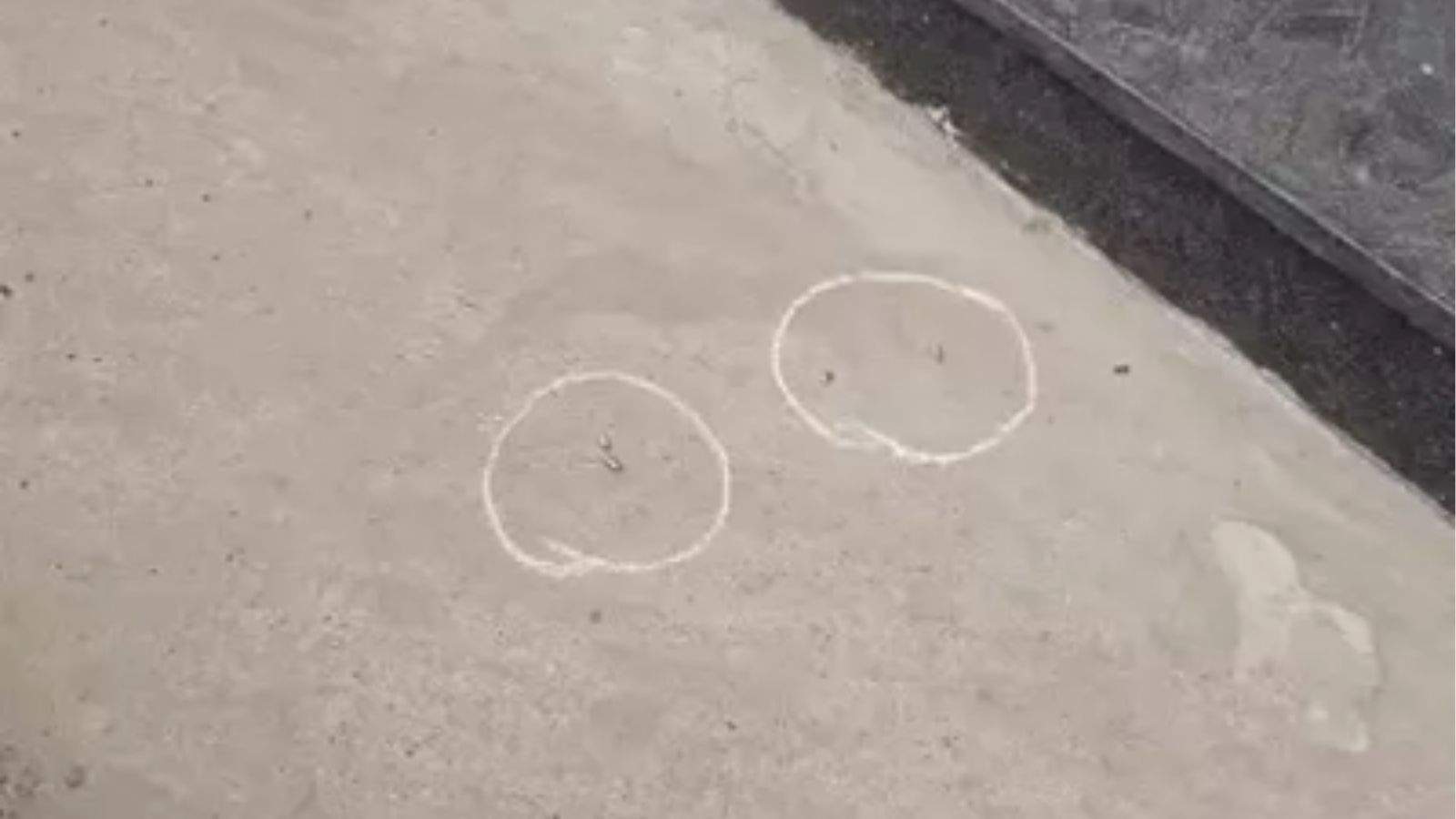 Ludhiana Shop Firing; Goldy Brar Gang Threat