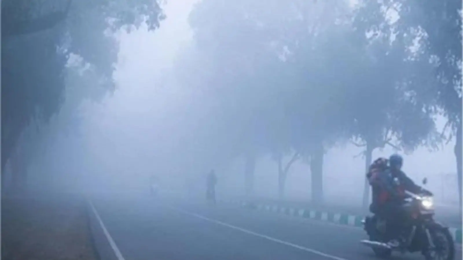 Cold wave continues in Punjab, YELLOW ALERT issued due to dense fog and COLD WAVE
