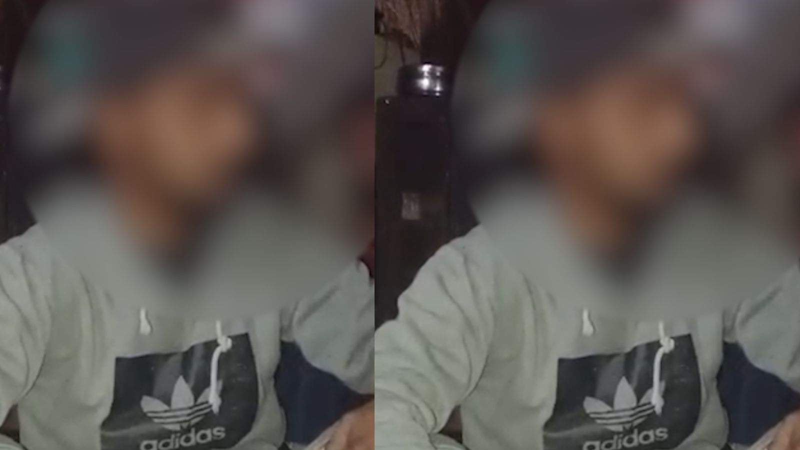 SC Commission takes action in the case of viral video of young man and dog in Jalandhar