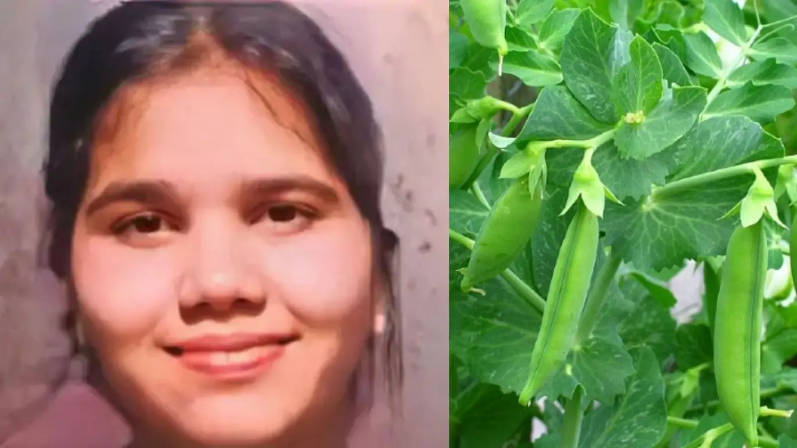 16-year-old girl dies after eating peas with skins in Patiala
