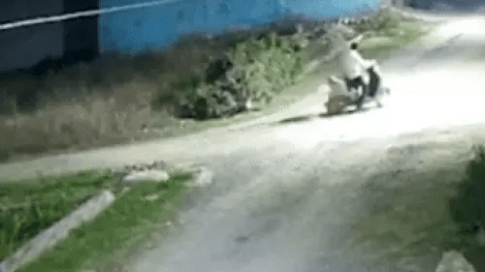 Jyoti Nooran Shot At In Jalandhar