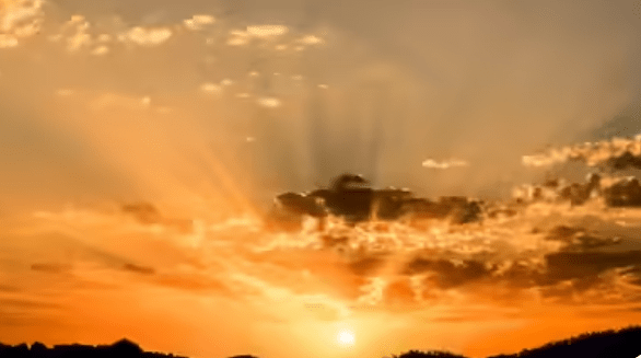 WEATHER REPORT: Sunshine reduces cold in Punjab, possibility of rain today