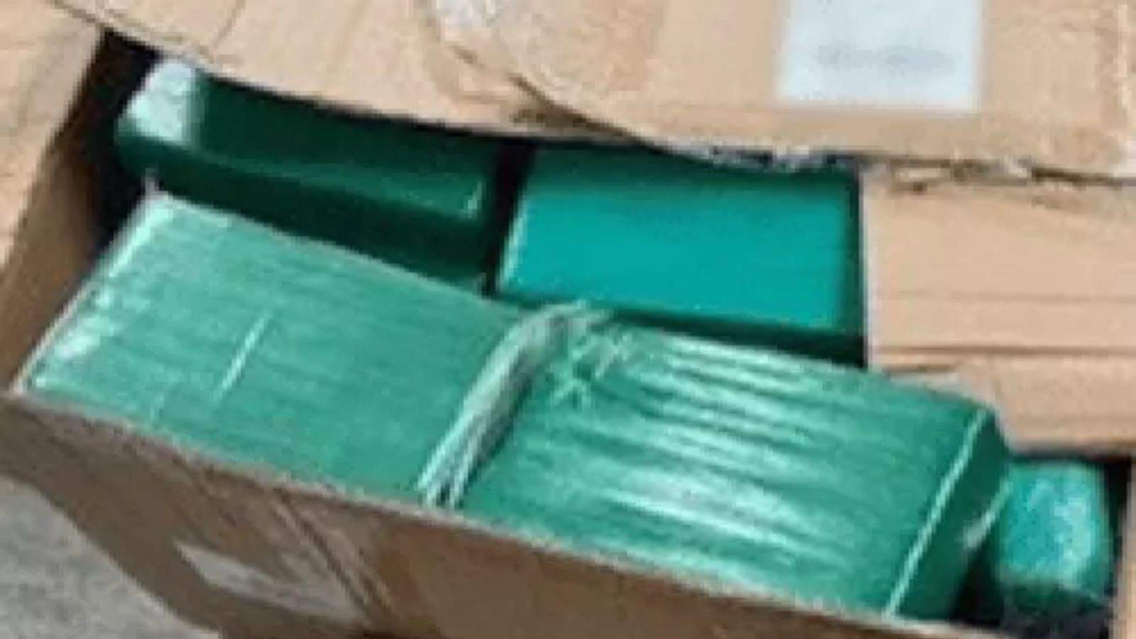 2 Punjabi youths arrested in drug smuggling case in Canada