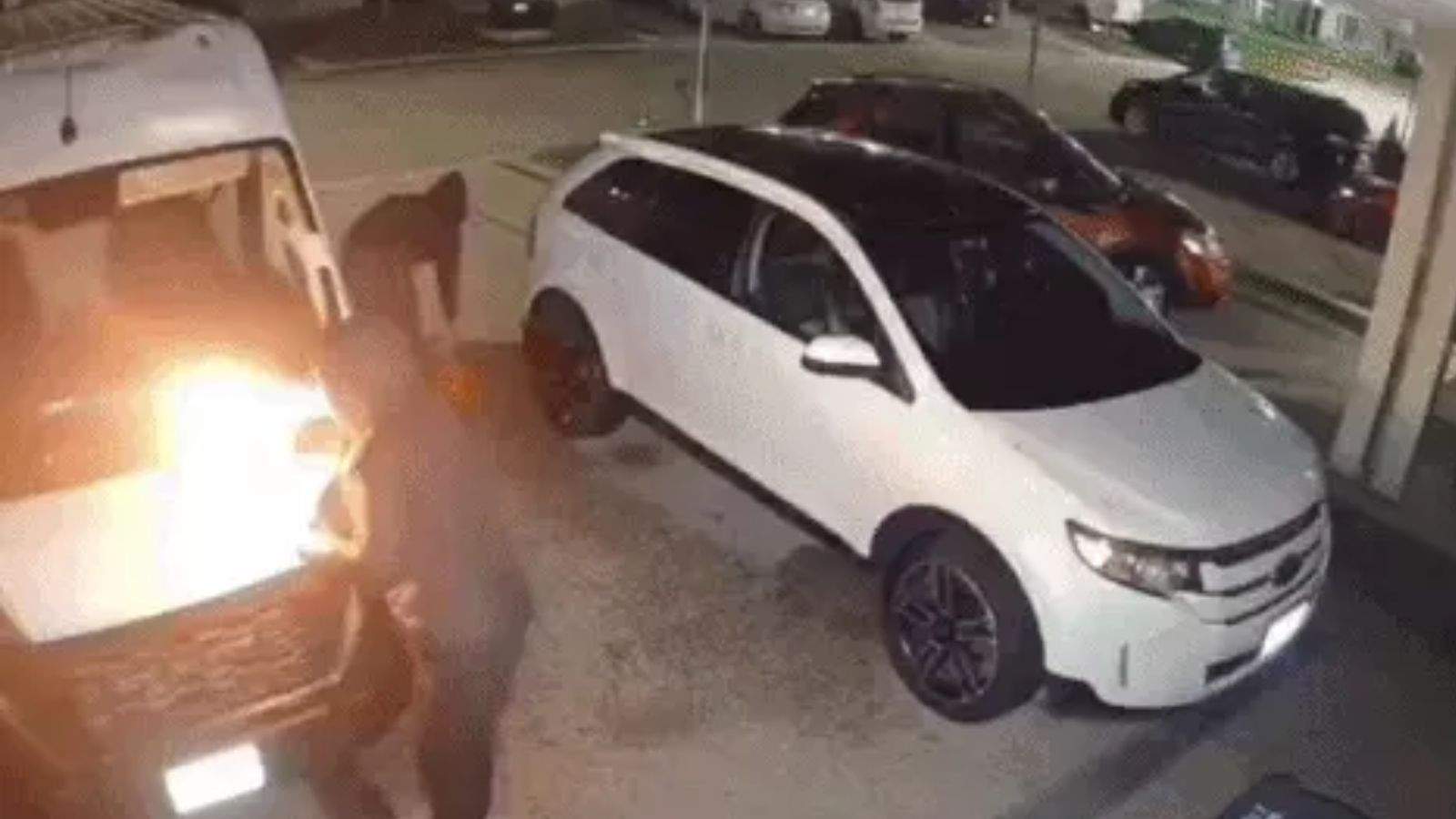 Canada Car Fire: Go Back Slogans On Wall