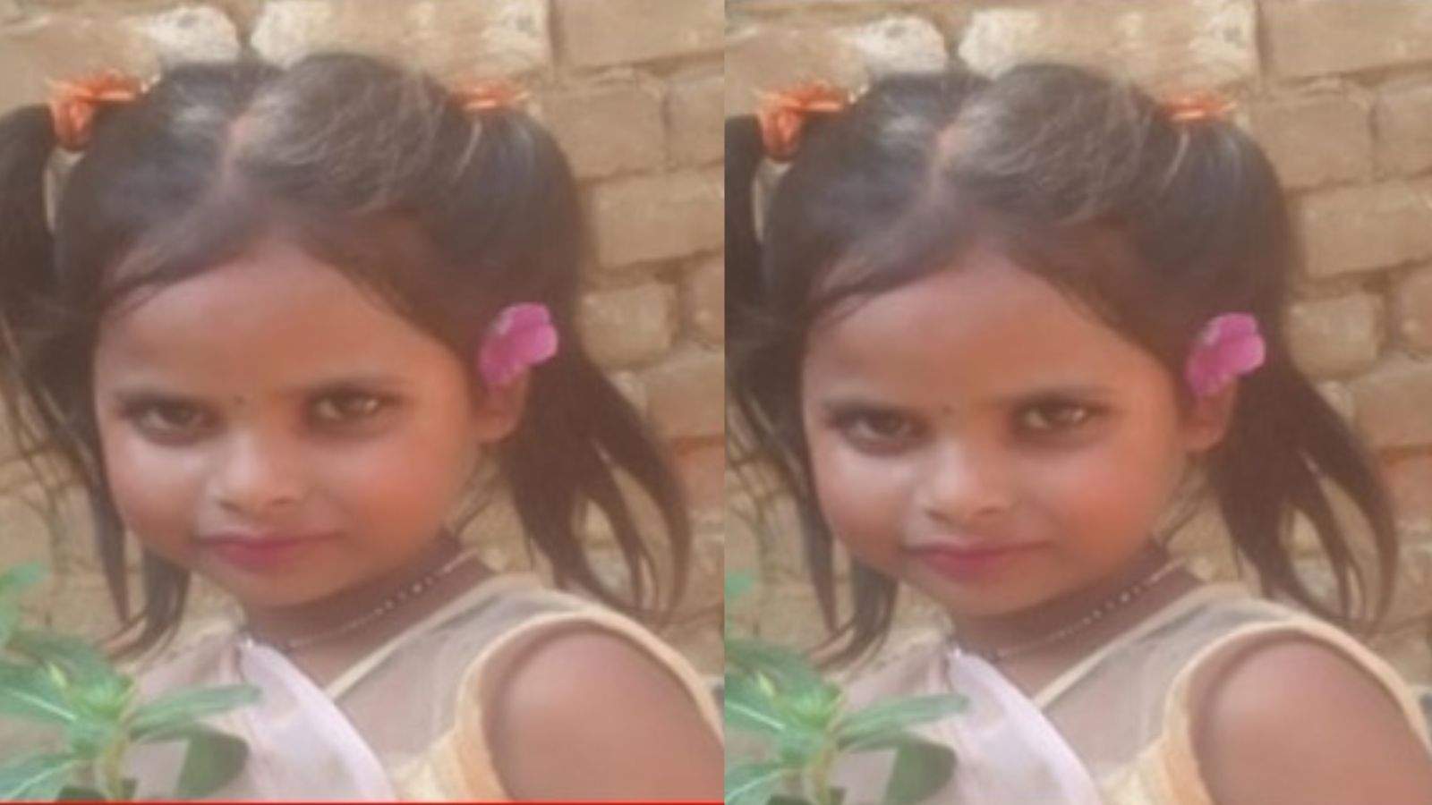an 8-year-old girl was mauled by dogs