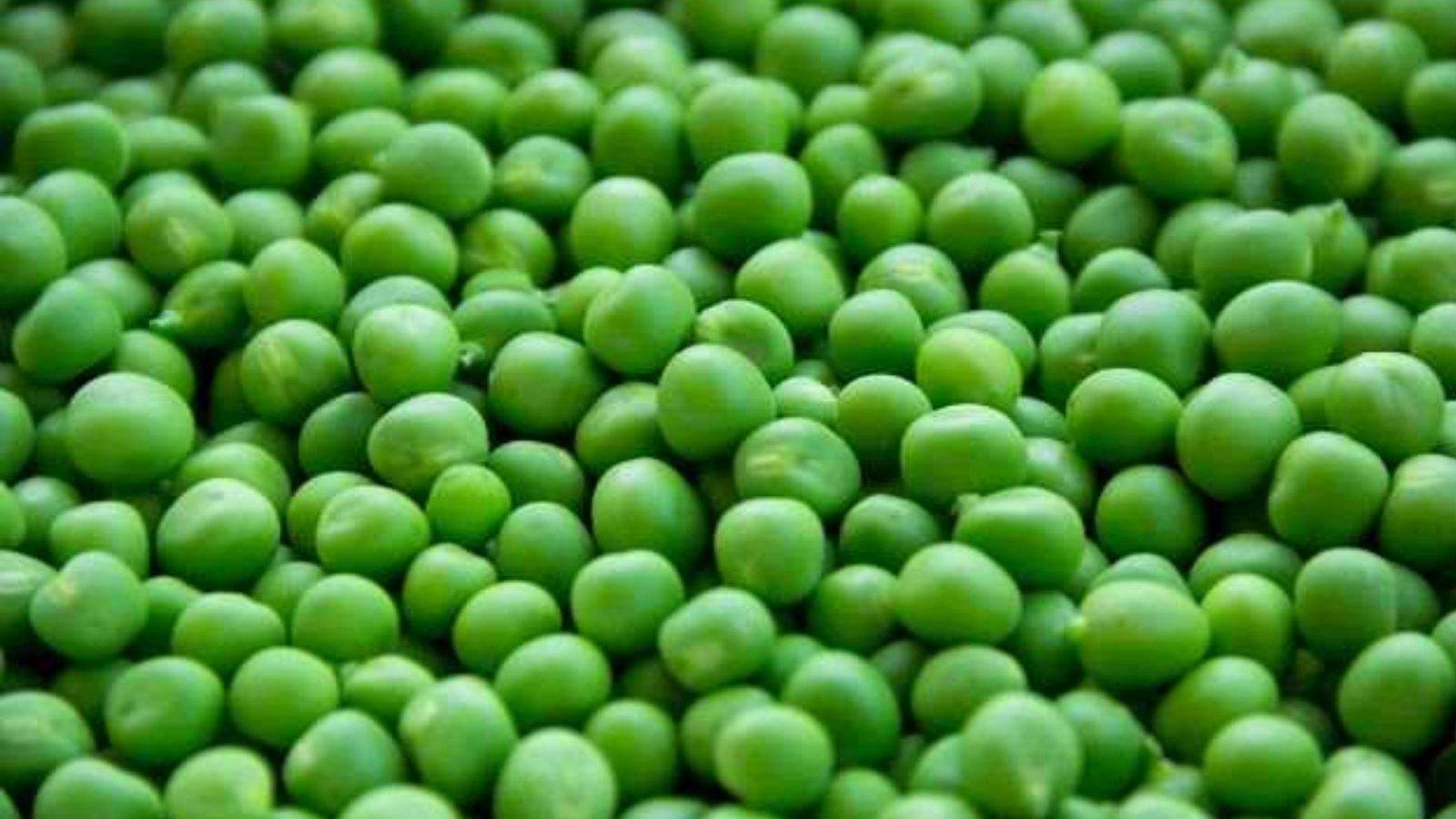 Controversy over eating peas in Tarn Taran, one dead, many sickened