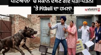 Pitbull attacks couple who went to view house in Patiala