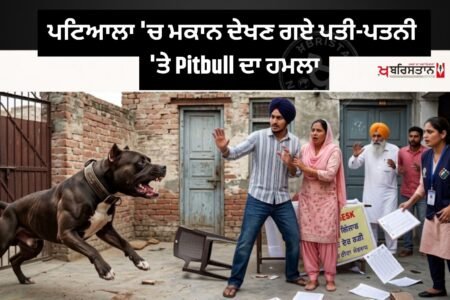 Pitbull attacks couple who went to view house in Patiala