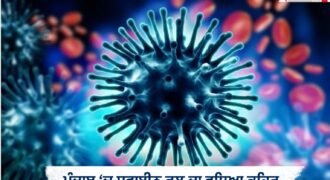 Swine flu outbreak intensifies in Punjab; 347 patients test positive; Ludhiana worst-hit.