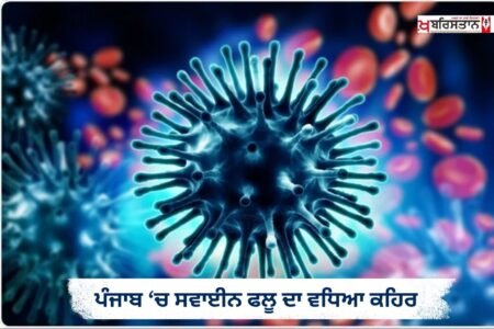 Swine flu outbreak intensifies in Punjab; 347 patients test positive; Ludhiana worst-hit.